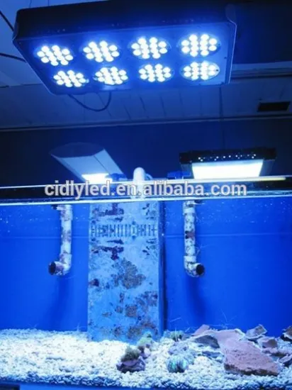 CIDLY LED 8 Most popular led aquarium light for LPS/SPS Marine use