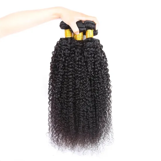 Brazilian Virgin Kinky Curly Bundles 100% Unprocessed Human Hair Bundles Curly Weft Extensions Weaves Natural Black