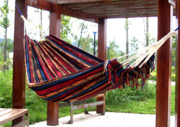 hammock