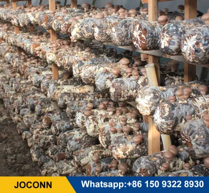 Lion Mane Mushroom Bagging Machine: Shiitake Mushroom Growing Farming Equipment