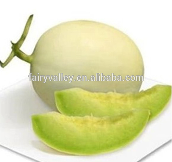 High sweetness hybrid F1 sweet melon seeds For Growing-Xiang Honey No.6
