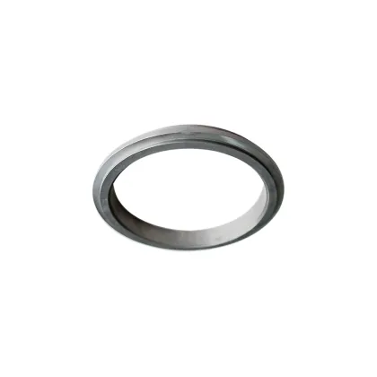 Corrosion Resistance Seal Carbide Mechanical Seals Rings