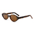 Cat Eye Acetate Fashion Sunglasses