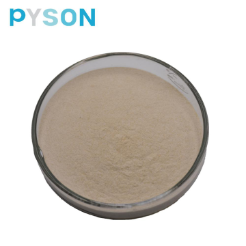 White Kidney Bean Extract 1%HPLC