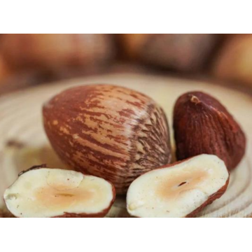 450 גרם אגוזי לוז נמר טעים