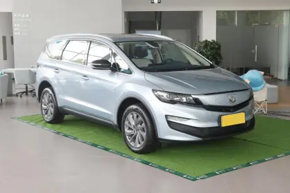 Maple Leaf 80v Pro 2022 New Energy Vehicle