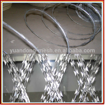 concertina razor barbed wire with pallet,raozr barbed wire
