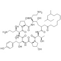 Pneumokandin B0,1 - [(4R, 5S) -5 - [(2-aminoetyl) amino] -N2- (10,12-dimetyl-1-oxotetradecyl) -4-hydroxi-L-ornitin] -5 - [( 3R) -3-hydroxi-L-ornitin] CAS 162808-62-0