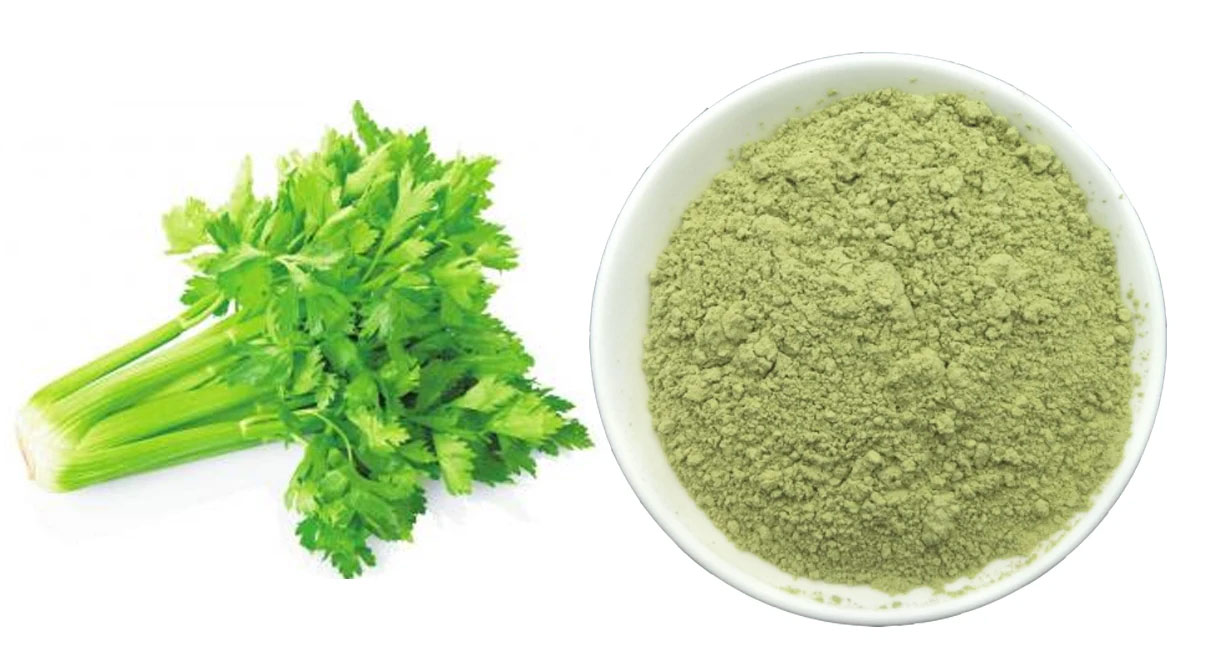 Celery-powder