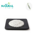 Anti-Inflammatory Rosmarinic Acid Extract Powder 98% for Anti-inflammation Manufactory