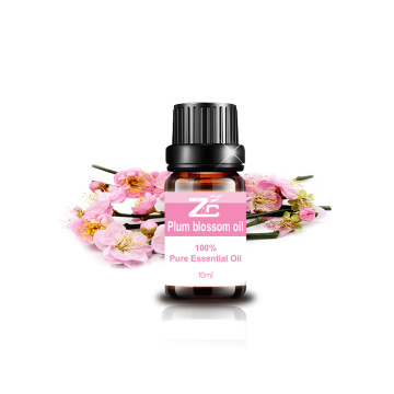 Plum Blossom Oil Aromaterapi Minyak Esensial untuk Diffuser