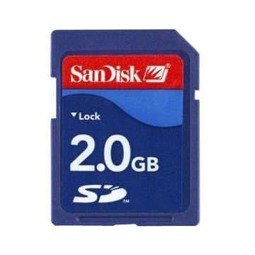 2G Micro SD Card