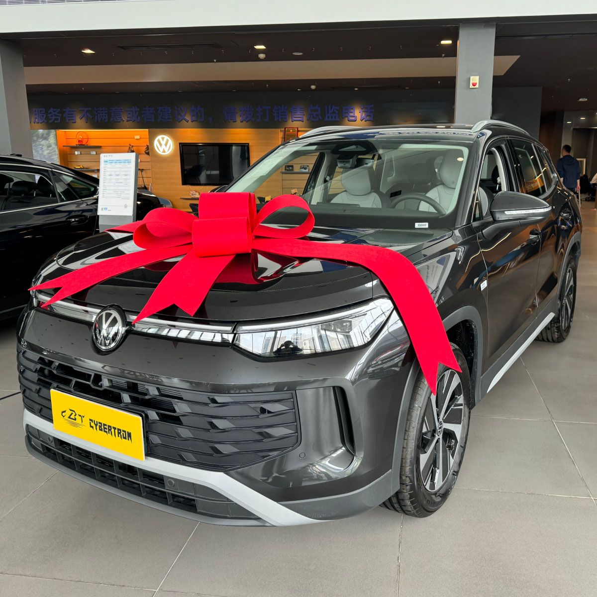 EPS electronic power steering system