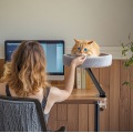 desktop cat bed for office desk