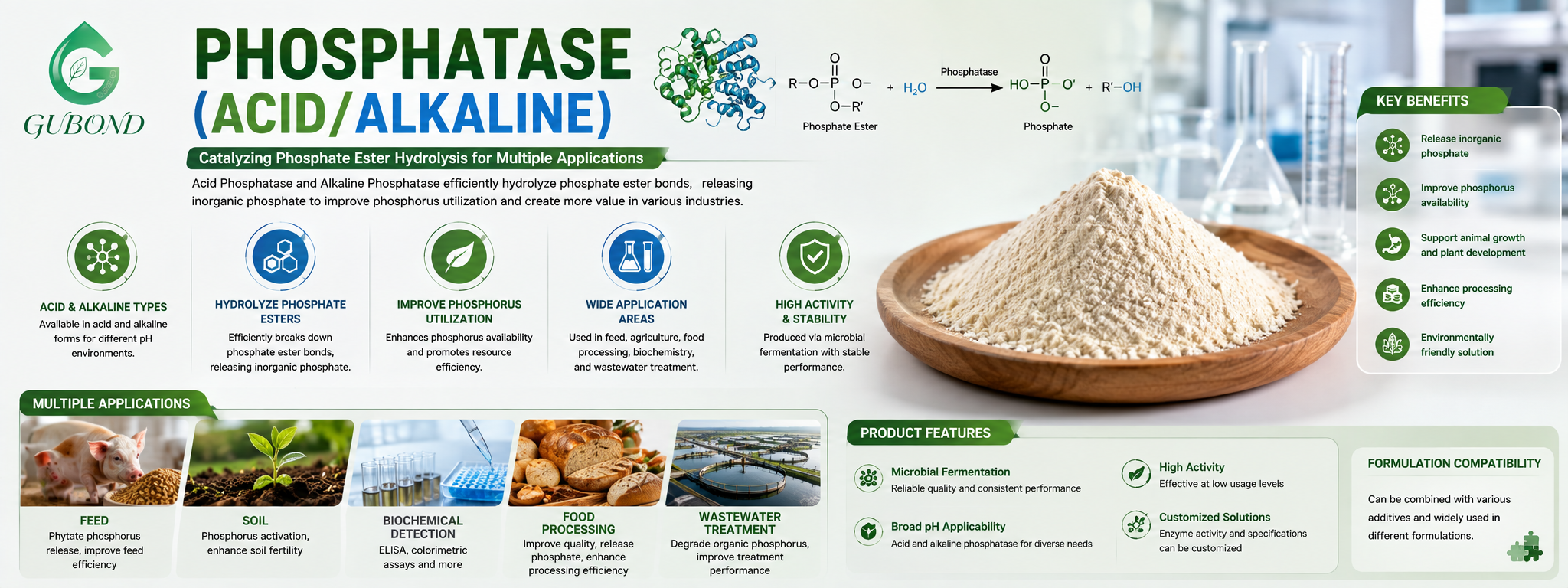 Phosphatase (AcidAlkaline) (7)