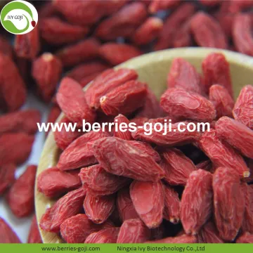 Factory Wholesale Top Quality Pack Wolfberry