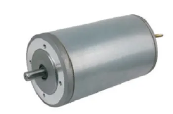 High Torque Low Speed PMDC Motor 118ZY Series