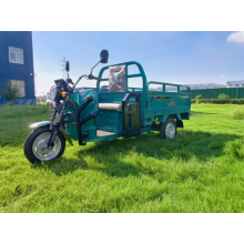 1.6m of lit. flatbed tricycle