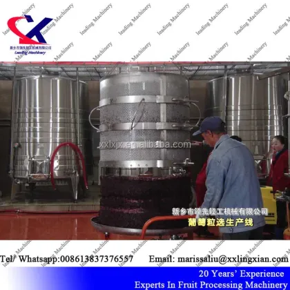 Wine Vertical Press: Advanced Technology Hydraulic Grape Press Machine