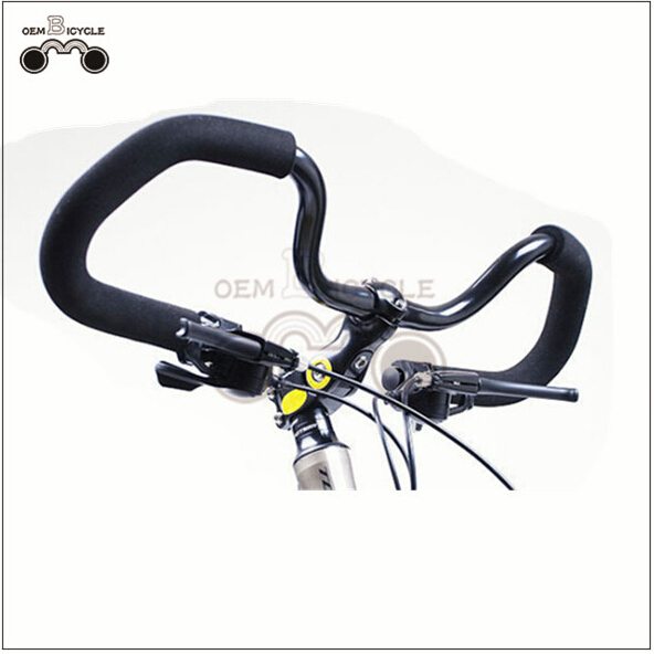 butterfly handlebar bike