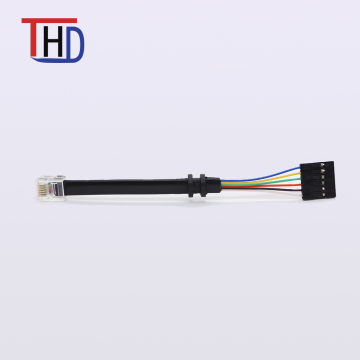 Custom RJ Connector with Dupont Wire Assembly