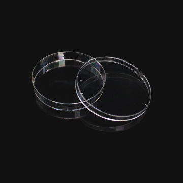 Sterile Bacterial Cell Culture Plate