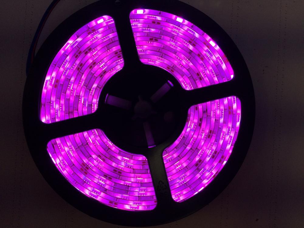 5050SMD Waterproof 12V Pink Color 300LEDs Strip Light