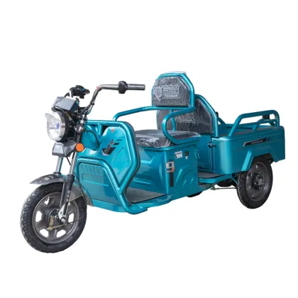 Cargo Bike Tricycle: 3 Wheel Electric Folding Electric Tricycle