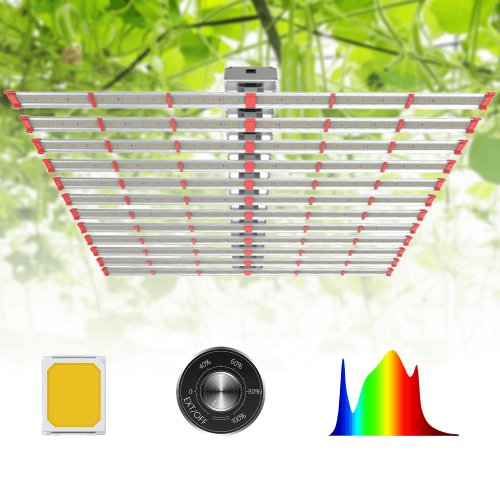 Hps Replacement 1500W Led Grow Lights 8x8 Tent