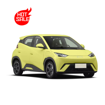 Seagull New Energy Car: مبيعات مصنع مباشرة للسيارات الكهربائية طويلة المدى