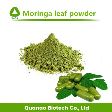 Moringa Oleifera leaf Extract Powder For Health Care