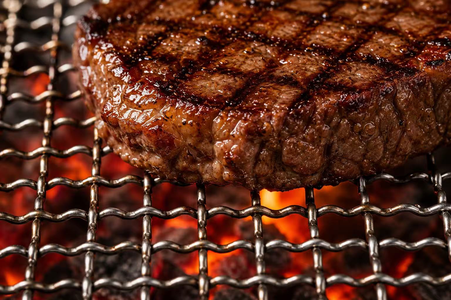 ANJIA Group close-up of food sear marks on stainless steel wire mesh barbecue grill