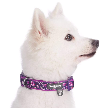 Comfy Collars Dog Flower