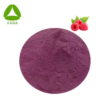 Anticancer Super Food Freeze Dried Powder Bilberry Extract