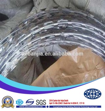 China manufacture agriculture protective electric galvanized razor wire(ISO 9001 factory)