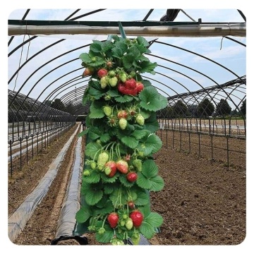 Vertical Garden Planting Bags: Multi-Pocket Options for Greenhouse, Wall, and Hanging Strawberry, Flower, and Vegetable Planters