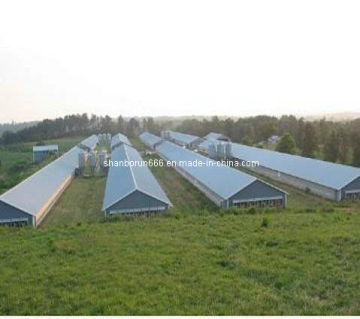 Prefabricated Poultry Shed (br00170)