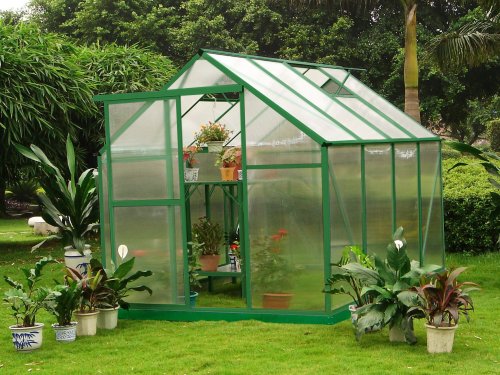 Single Door 10mm Uv Twin-wall Small Polycarbonate Hobby Greenhouses 6' X 8'