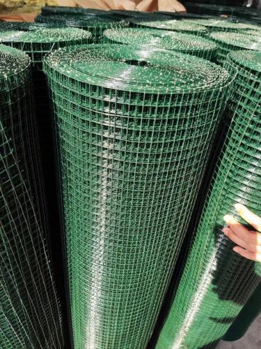 Galvanized Welded Wire Mesh Roll