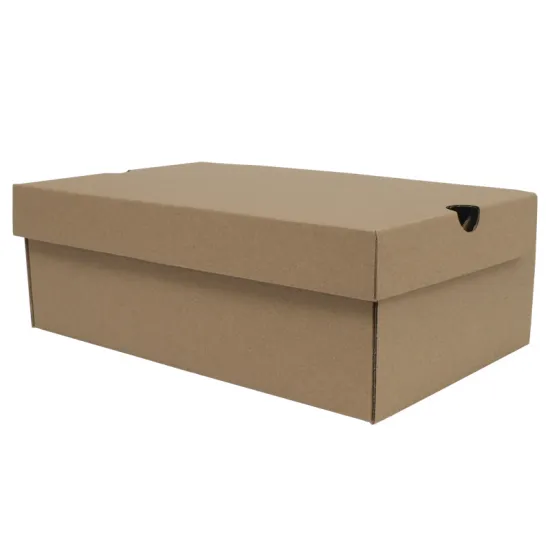 Custom Logo Kraft Paper Shoe Boxes for Luxury Clothing Packaging