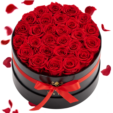 Coffret rond de 27 roses rouges préservées