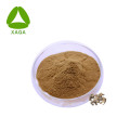 Black Cohosh Extract Powder 10: 1 Ingredientes antirreumatismo