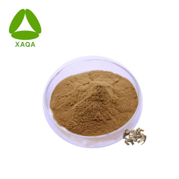 Black Cohosh Extract Powder 10:1 Anti-Rheumatism Ingredients