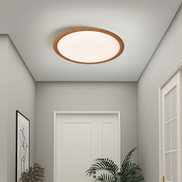 New Design Indoor LED Ceiling Lights - Iron Aluminum, 31w/39w, Surface Mounted, 3 Colors