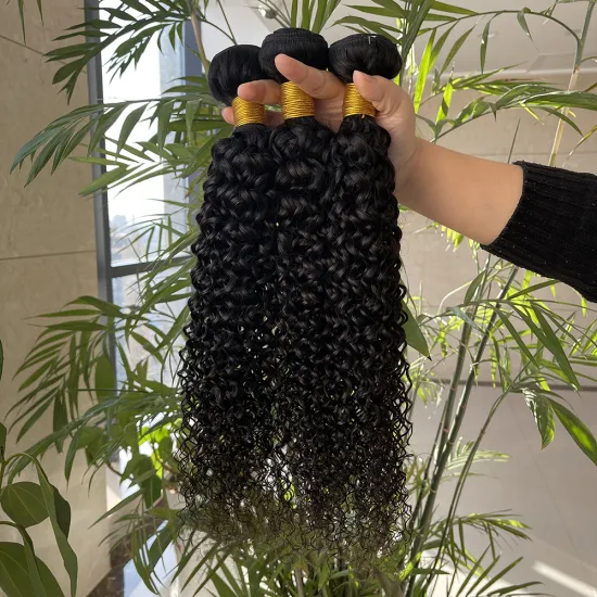 Cuticle Aligned Hair Bundle Burmese Curly Hair Product Private Label For Free, Raw Virgin 100 Percent Human Curly Hair Wave