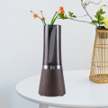 Diffuseur d'arôme portable avec humidificateur et huiles essentielles