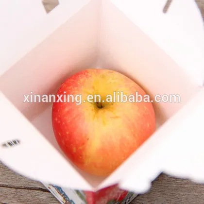 cute apple packaging box food packaging boxes for kids