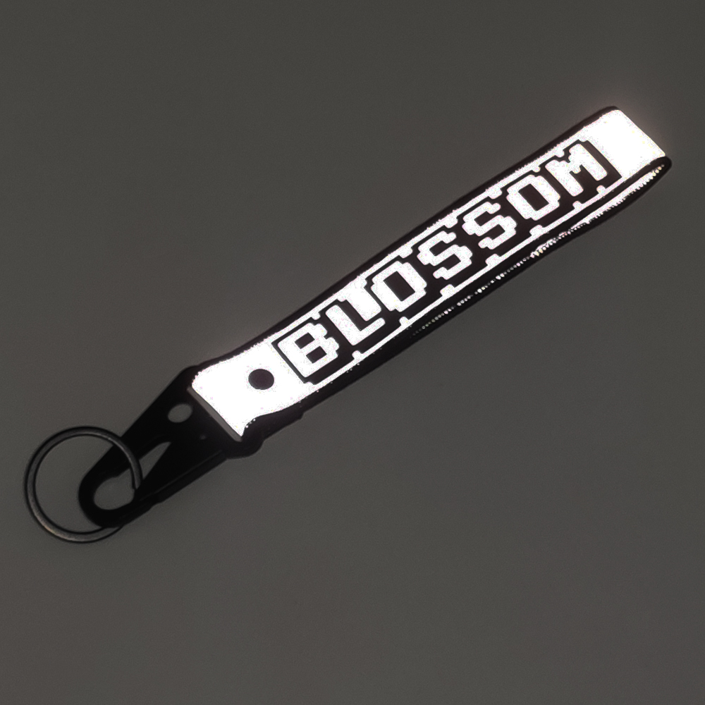 Carabiner Keychain Carabiner Keychain