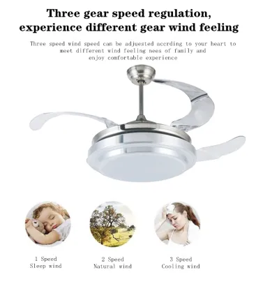 Best Quality Modern Simple Restaurant Ceiling Fan Light