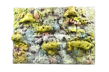 coral rock background board